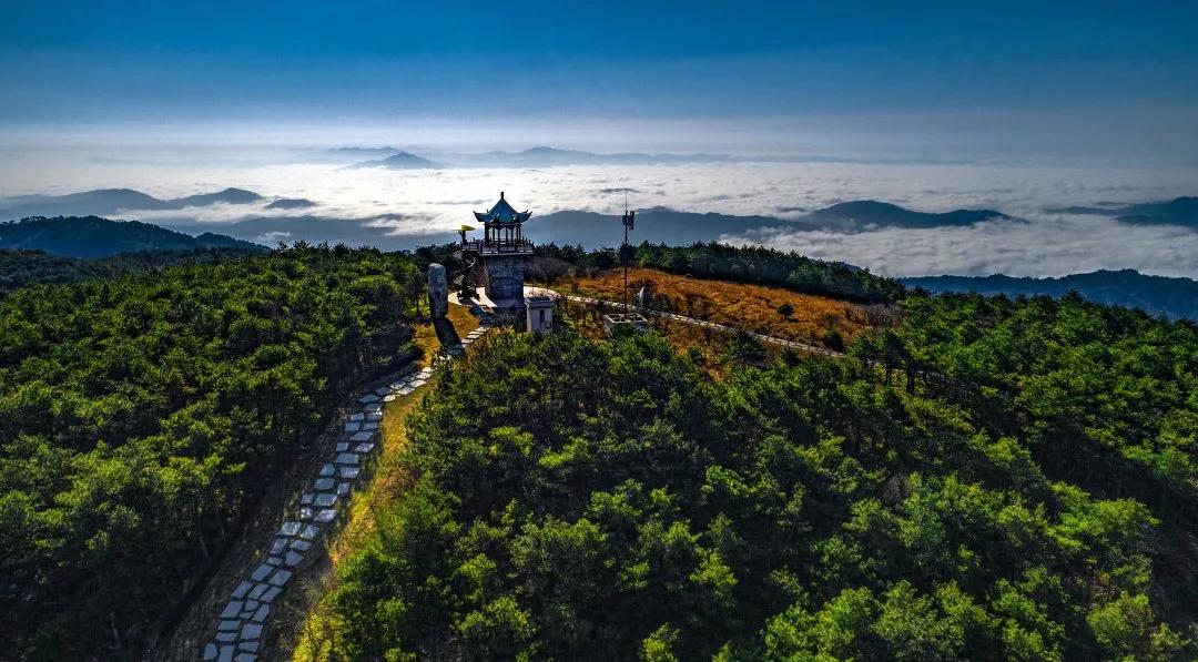百科 第38页