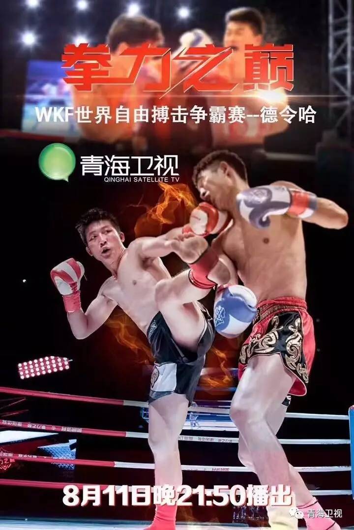 青海卫视笼斗之夜最新一期，热血与技巧的激情碰撞