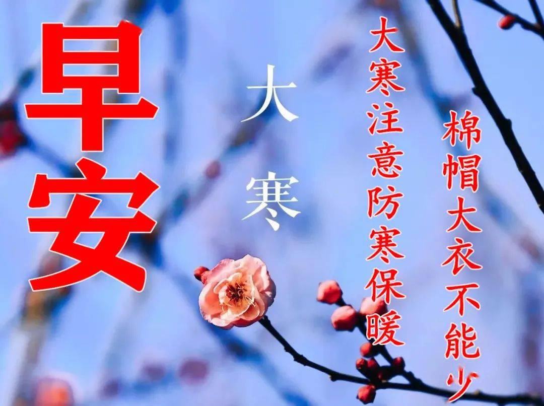 笑料不断，情谊长存—宋智孝与李光洙的最新荧幕与友情动态